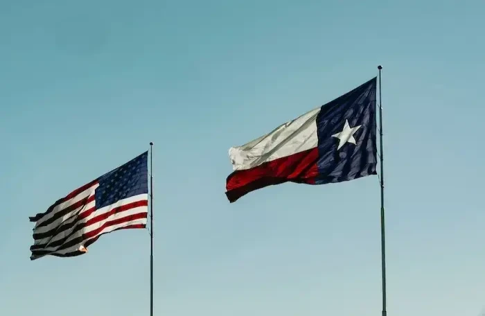  texas flag smaller