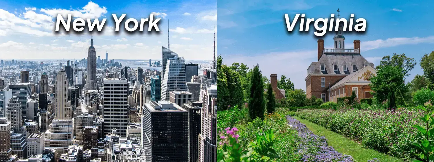 The image is divided into two sections. The left image shows New York cityscape with the work New York written in the middle. The right image shows a house surrounded by greenery with the word Virginia written in the middle of it.