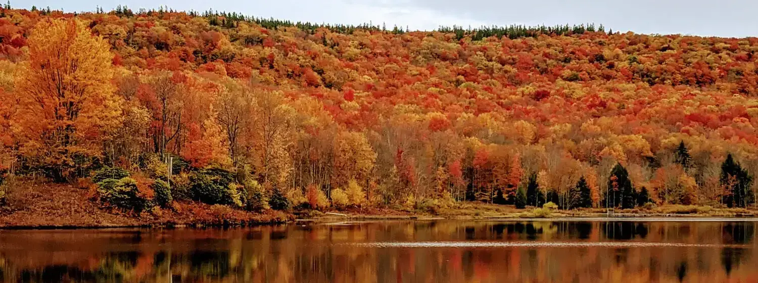 The image shows a calm lake surrounded by trees in various shades of orange, yellow, and red.